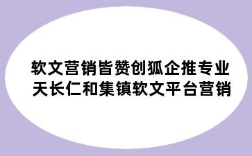 软文营销皆赞创狐企推专业 天长仁和集镇软文平台营销